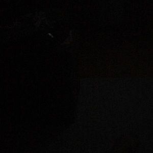 Meet your Posher, Ambar